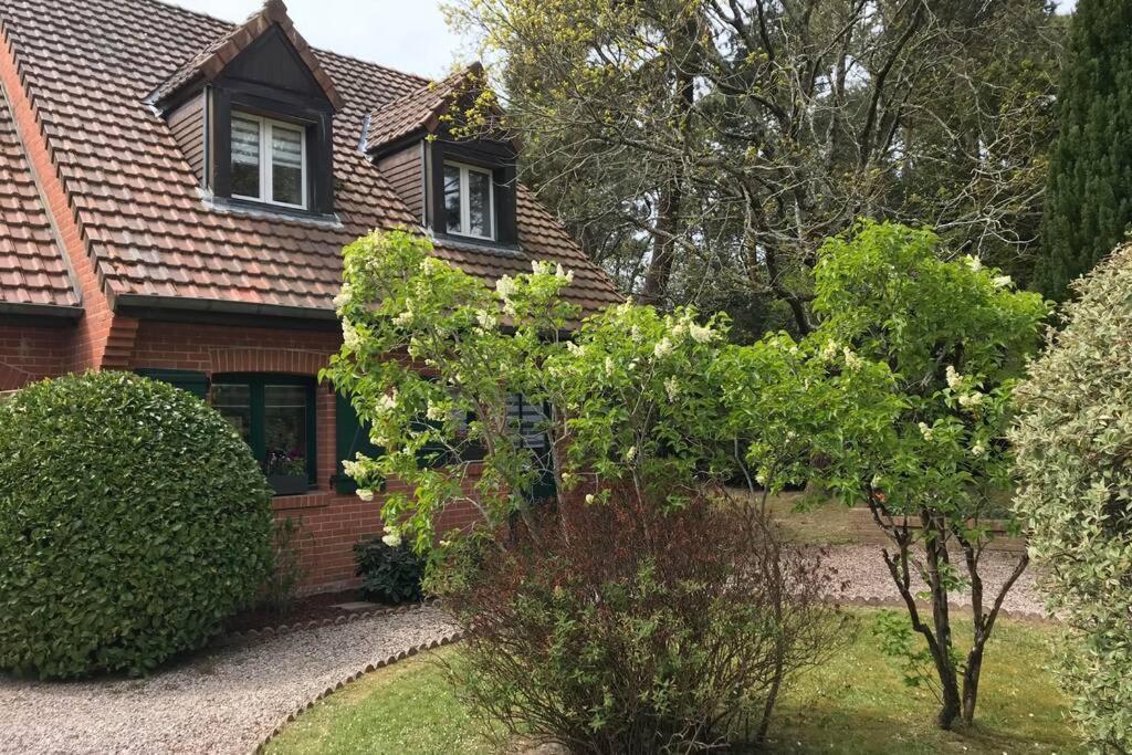 Villa Les Lutins Le Touquet ภายนอก รูปภาพ