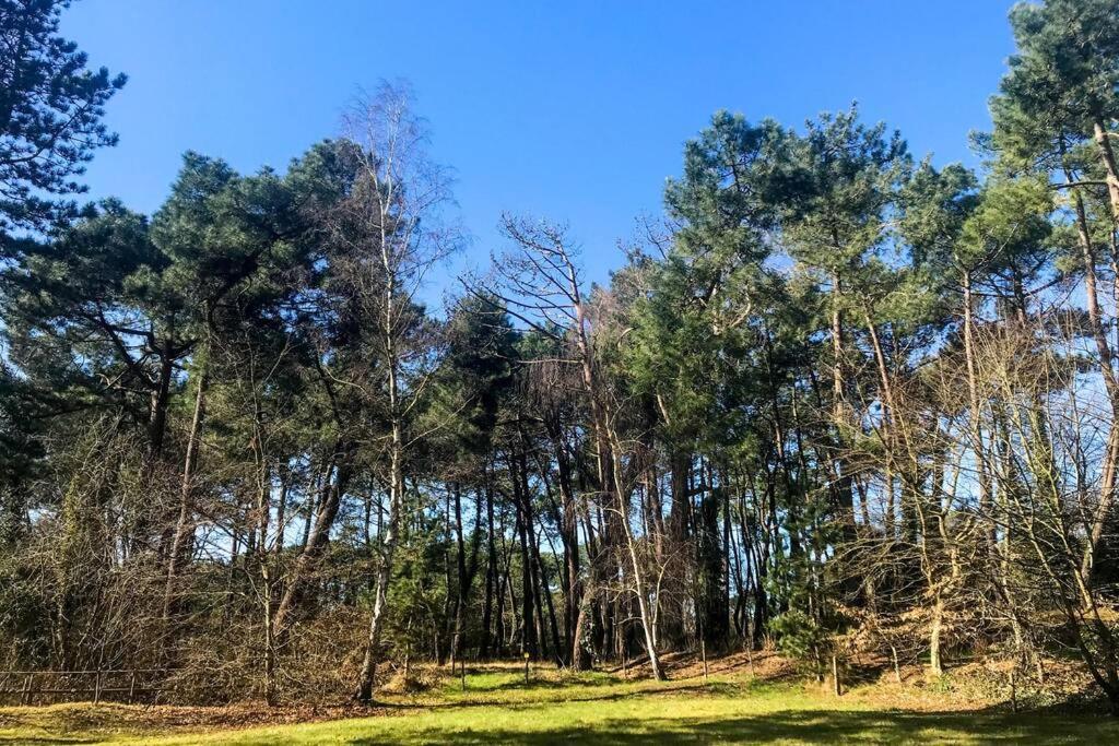 Villa Les Lutins Le Touquet ภายนอก รูปภาพ