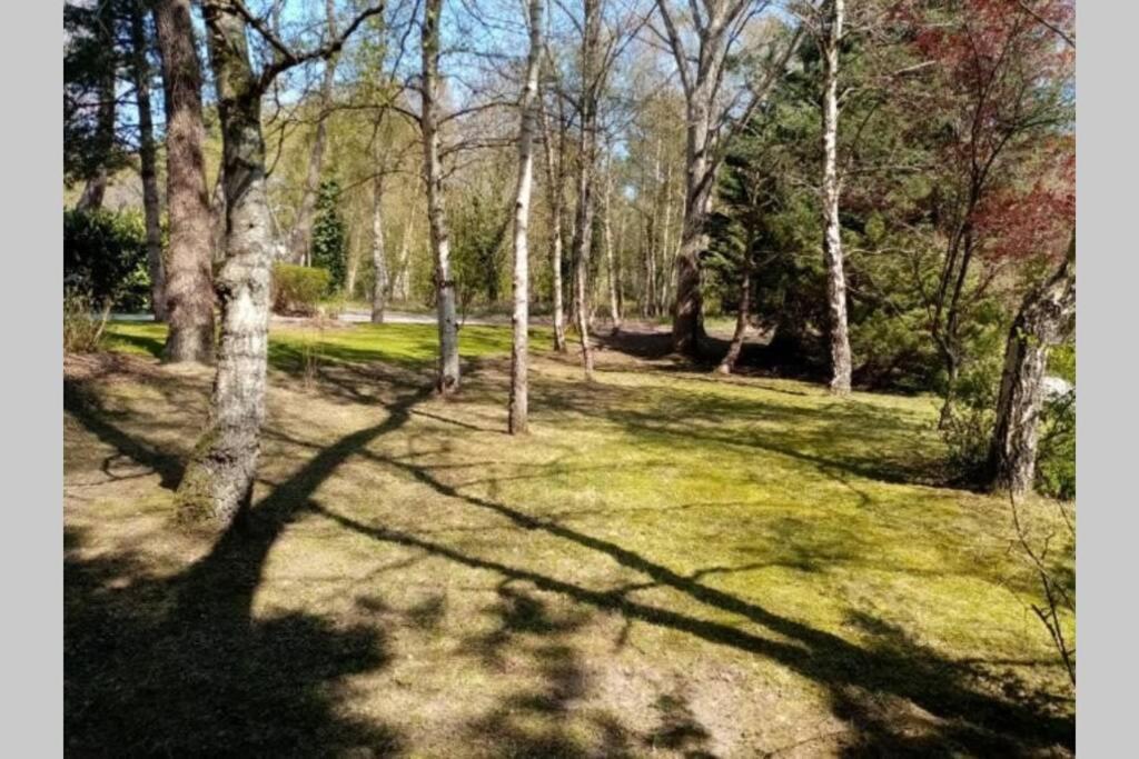 Villa Les Lutins Le Touquet ภายนอก รูปภาพ